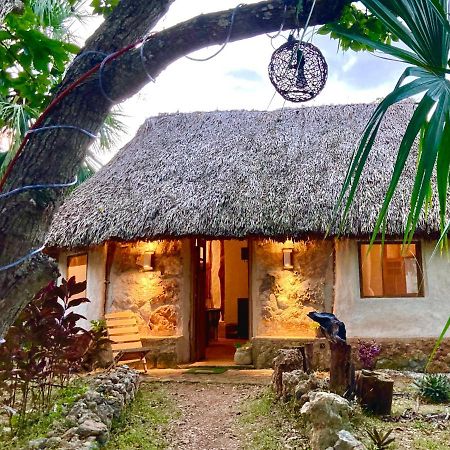 Encantadora Villa Maya Tradicional En Rancho Agroecologico Tzucacab Ngoại thất bức ảnh