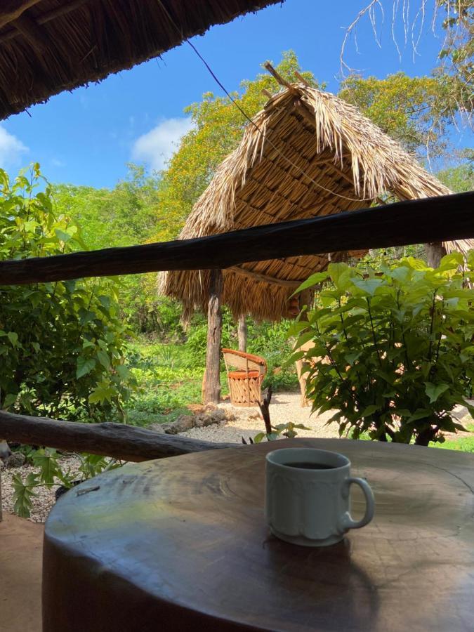 Encantadora Villa Maya Tradicional En Rancho Agroecologico Tzucacab Ngoại thất bức ảnh