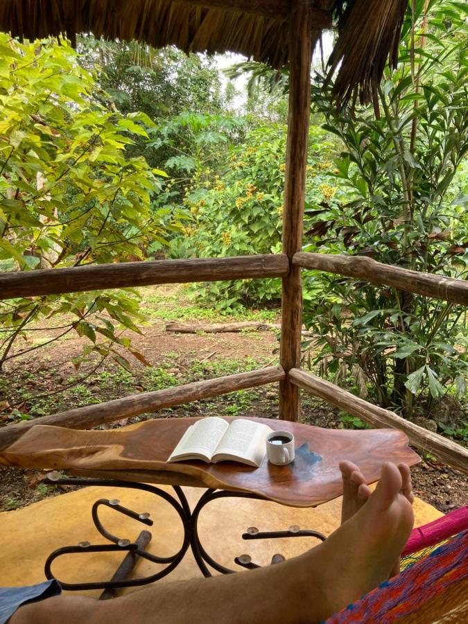Encantadora Villa Maya Tradicional En Rancho Agroecologico Tzucacab Ngoại thất bức ảnh