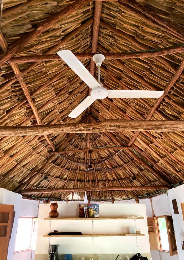 Encantadora Villa Maya Tradicional En Rancho Agroecologico Tzucacab Ngoại thất bức ảnh