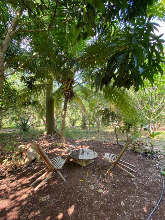 Encantadora Villa Maya Tradicional En Rancho Agroecologico Tzucacab Ngoại thất bức ảnh