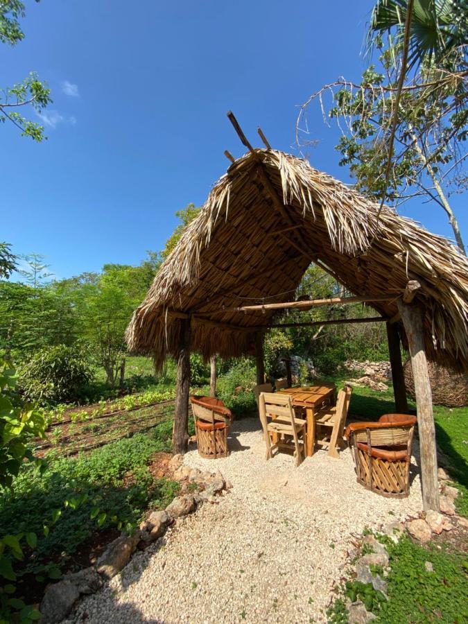 Encantadora Villa Maya Tradicional En Rancho Agroecologico Tzucacab Ngoại thất bức ảnh