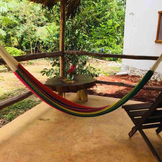 Encantadora Villa Maya Tradicional En Rancho Agroecologico Tzucacab Ngoại thất bức ảnh