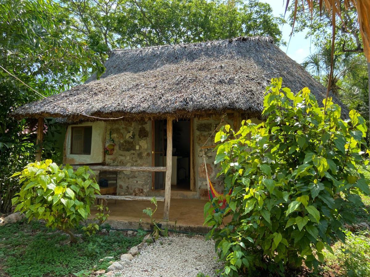 Encantadora Villa Maya Tradicional En Rancho Agroecologico Tzucacab Ngoại thất bức ảnh