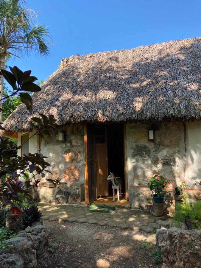 Encantadora Villa Maya Tradicional En Rancho Agroecologico Tzucacab Ngoại thất bức ảnh