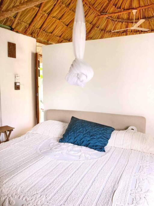Encantadora Villa Maya Tradicional En Rancho Agroecologico Tzucacab Ngoại thất bức ảnh