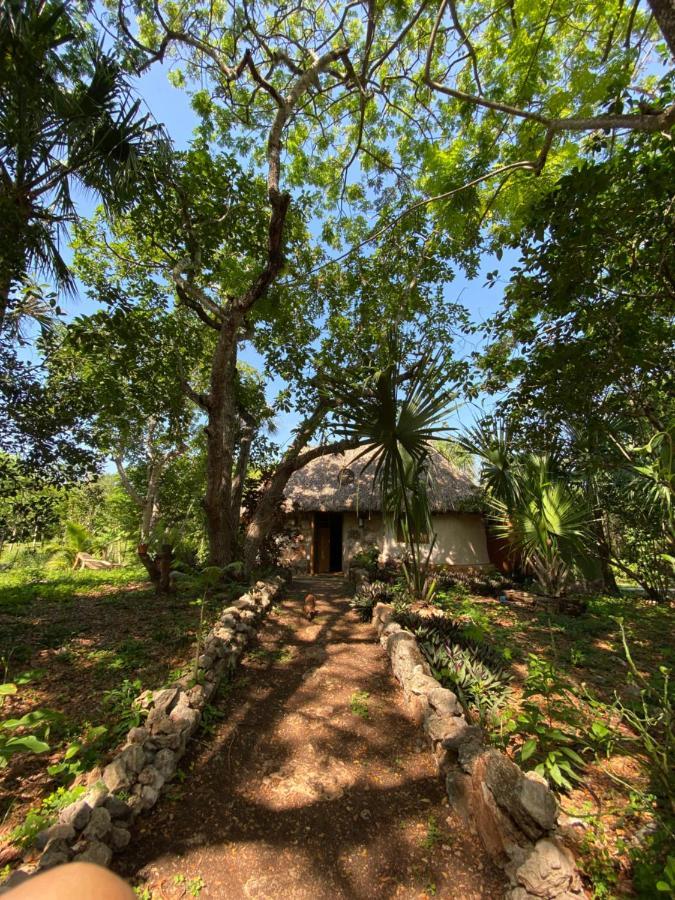 Encantadora Villa Maya Tradicional En Rancho Agroecologico Tzucacab Ngoại thất bức ảnh