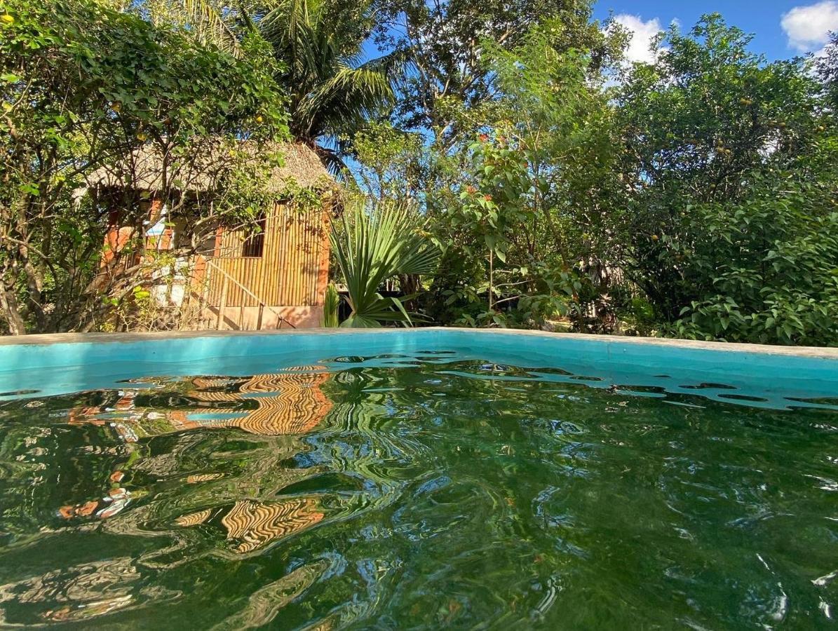 Encantadora Villa Maya Tradicional En Rancho Agroecologico Tzucacab Ngoại thất bức ảnh