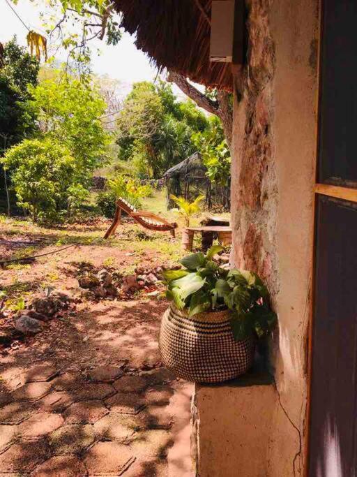 Encantadora Villa Maya Tradicional En Rancho Agroecologico Tzucacab Ngoại thất bức ảnh