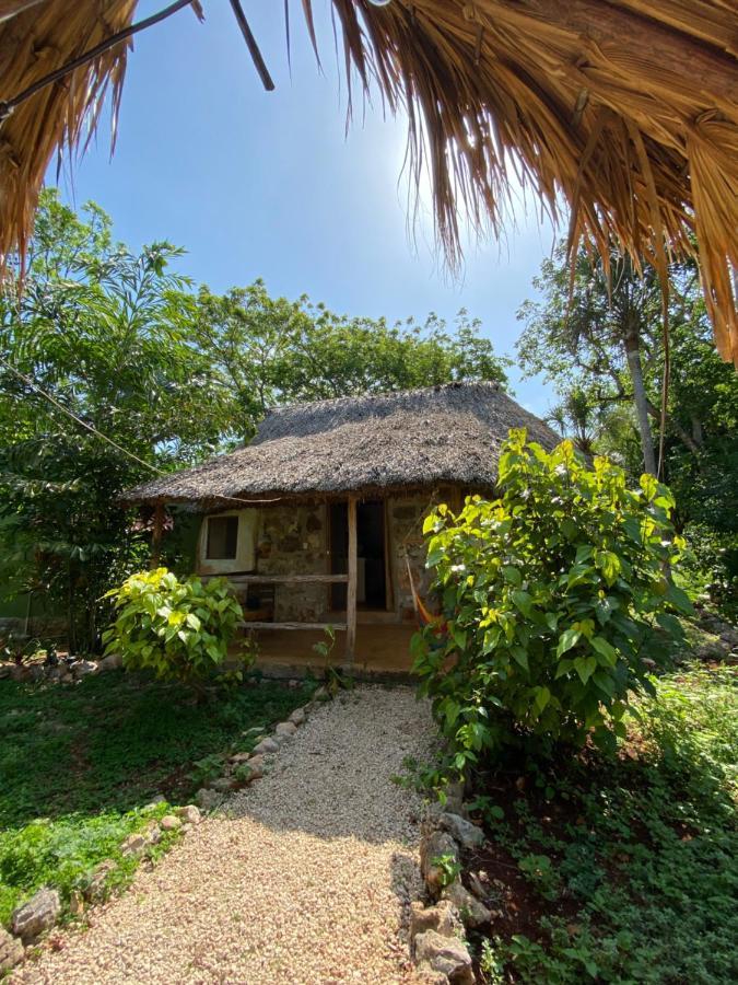 Encantadora Villa Maya Tradicional En Rancho Agroecologico Tzucacab Ngoại thất bức ảnh