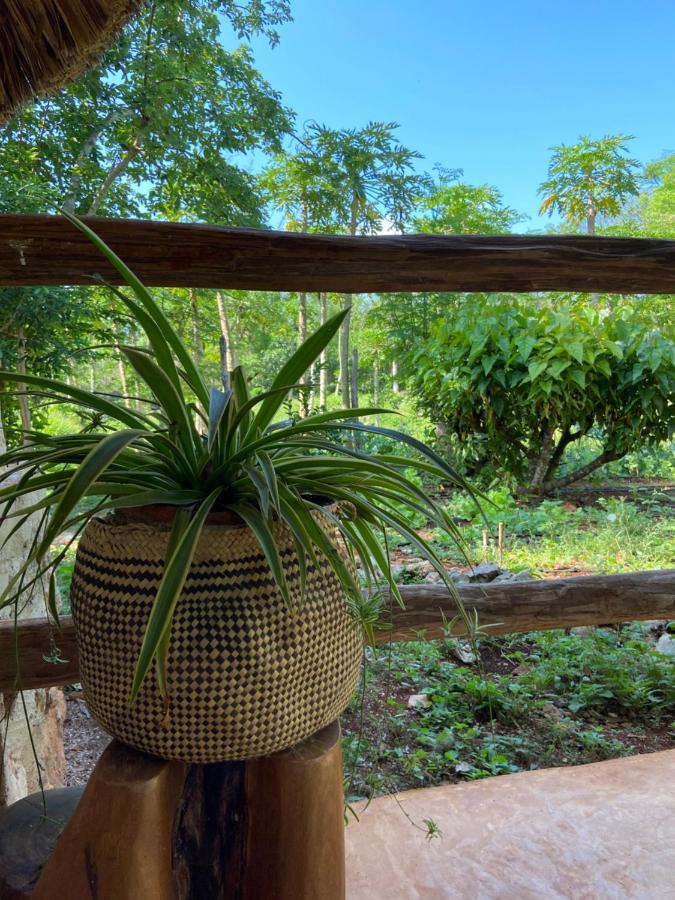 Encantadora Villa Maya Tradicional En Rancho Agroecologico Tzucacab Ngoại thất bức ảnh