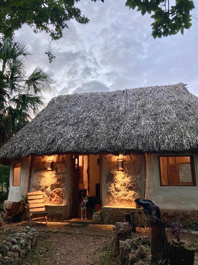 Encantadora Villa Maya Tradicional En Rancho Agroecologico Tzucacab Ngoại thất bức ảnh