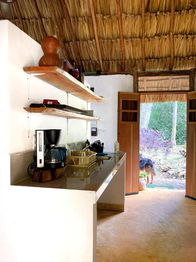 Encantadora Villa Maya Tradicional En Rancho Agroecologico Tzucacab Ngoại thất bức ảnh