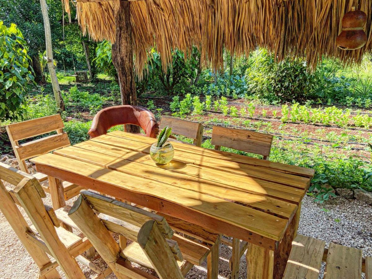 Encantadora Villa Maya Tradicional En Rancho Agroecologico Tzucacab Ngoại thất bức ảnh