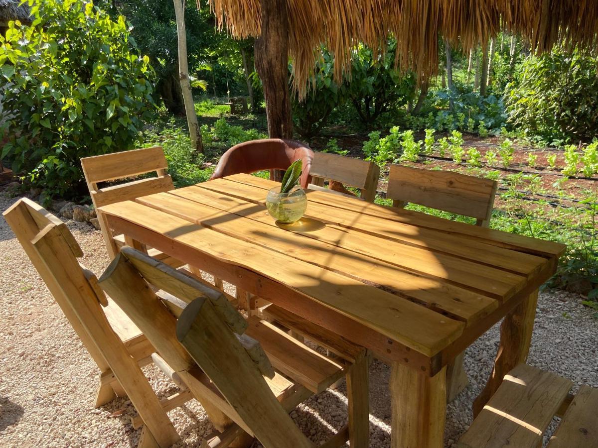 Encantadora Villa Maya Tradicional En Rancho Agroecologico Tzucacab Ngoại thất bức ảnh