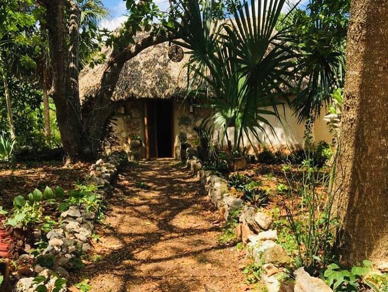 Encantadora Villa Maya Tradicional En Rancho Agroecologico Tzucacab Ngoại thất bức ảnh