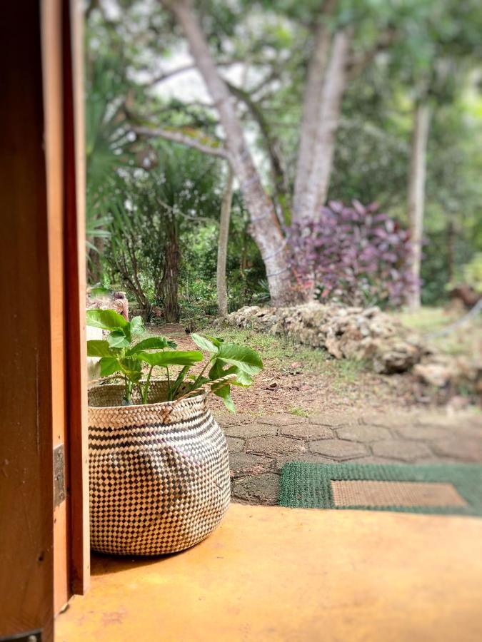 Encantadora Villa Maya Tradicional En Rancho Agroecologico Tzucacab Ngoại thất bức ảnh