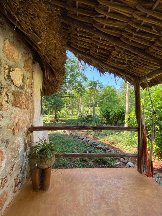Encantadora Villa Maya Tradicional En Rancho Agroecologico Tzucacab Ngoại thất bức ảnh